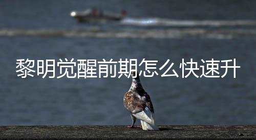 明觉怎么黎明 黎快速觉醒级方前期法介升级速升绍醒快